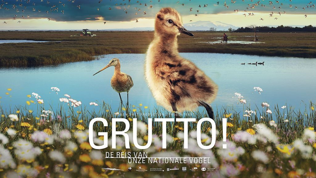 Film Grutto! woensdag 25 januari in 't Veense hart in Nijkerkerveen.