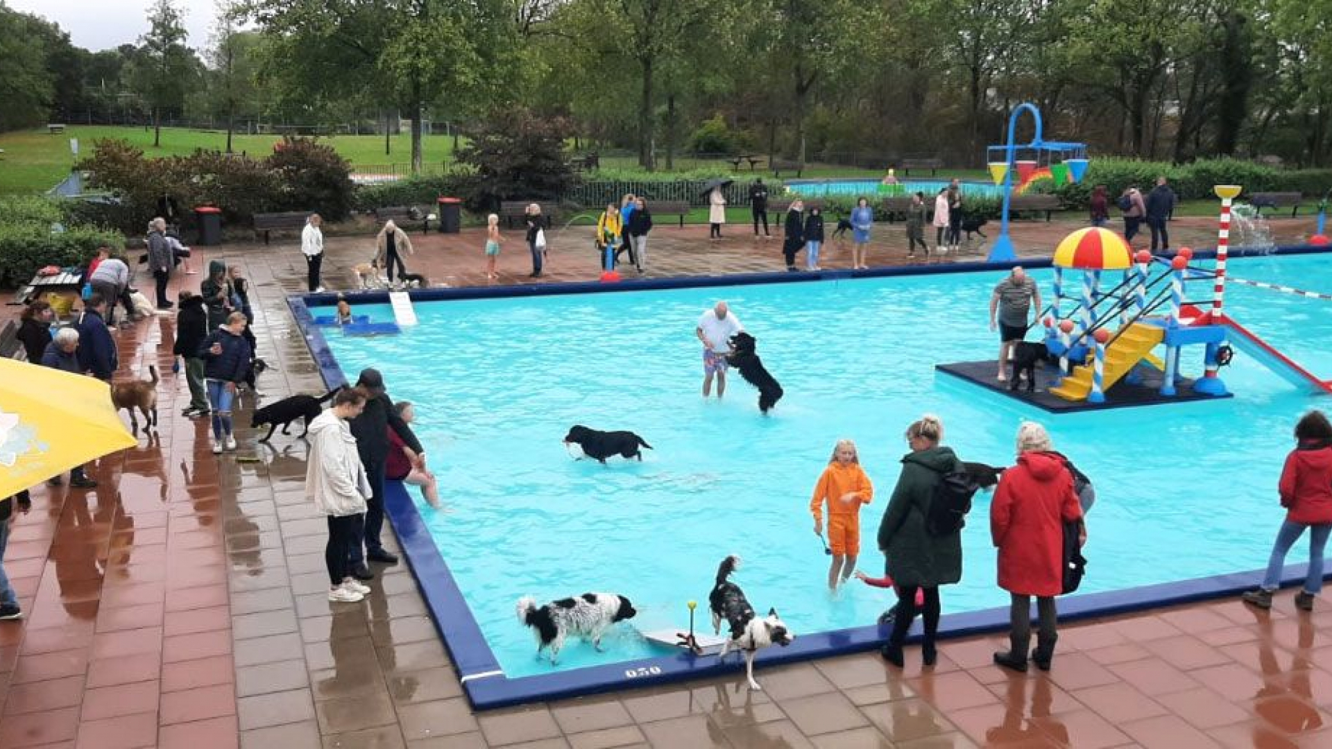 Viervoeters mogen gratis zwemmen in Openluchtbad Rheden (update)